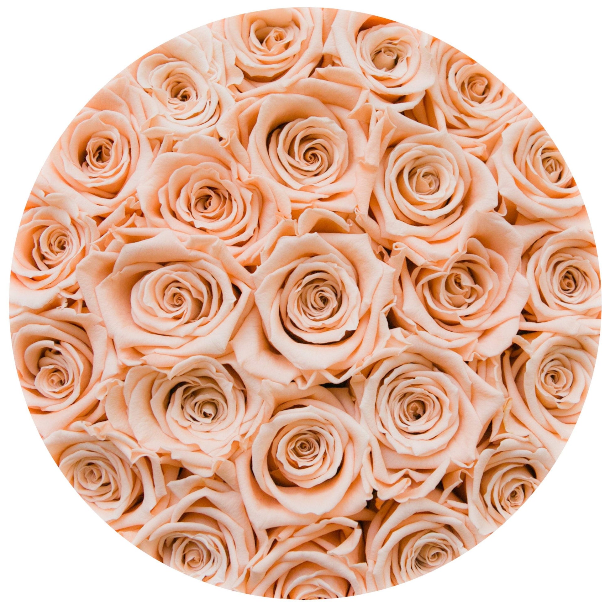 Classic Black Box | Peach Roses - The Million Roses
