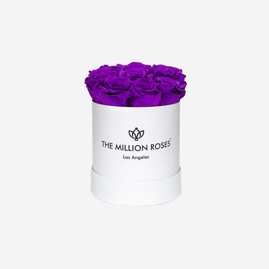 Basic White Box | Bright Purple Roses - The Million Roses
