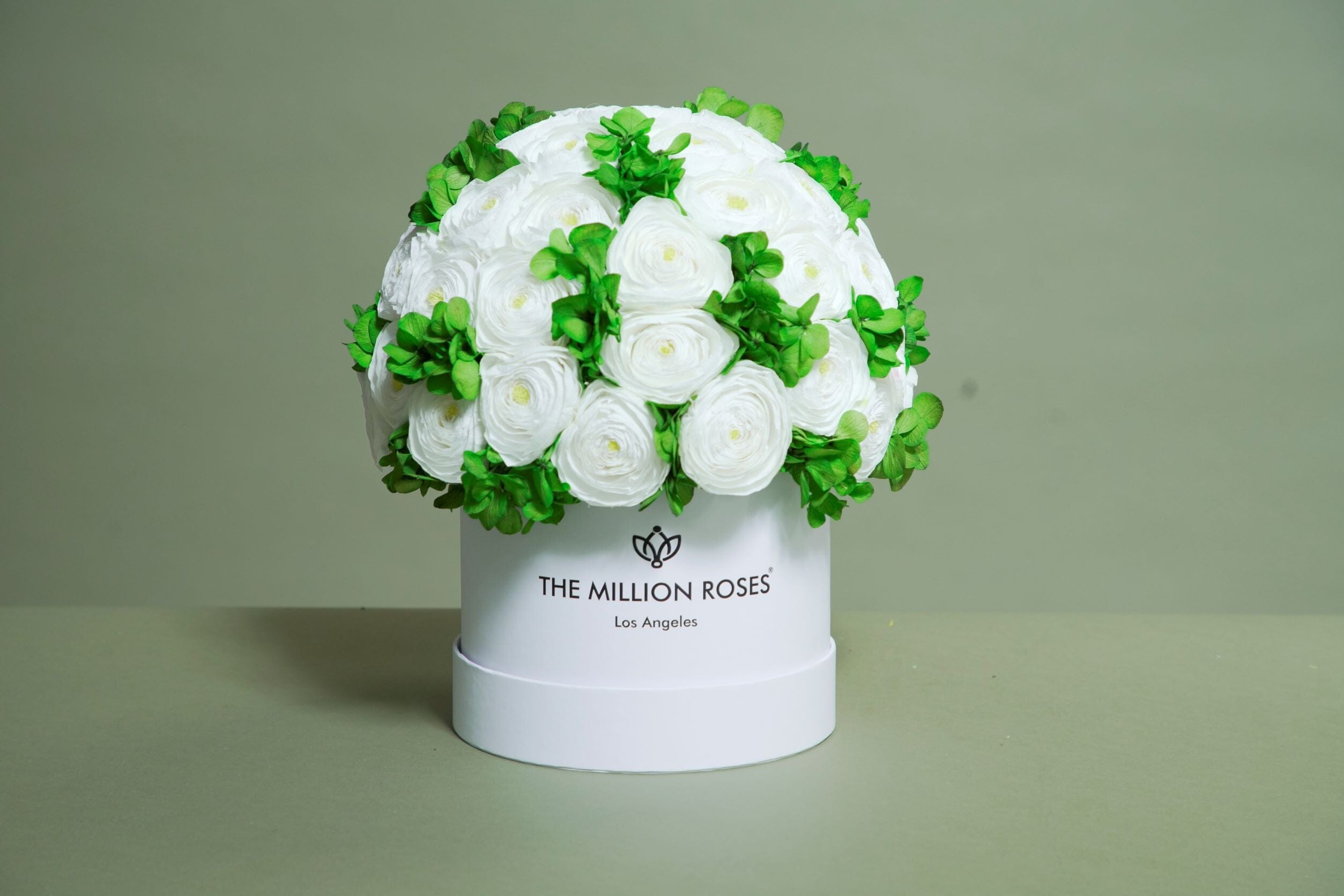 Classic Hot Pink Suede Box | White Persian Buttercups & Green Hydrangeas - The Million Roses