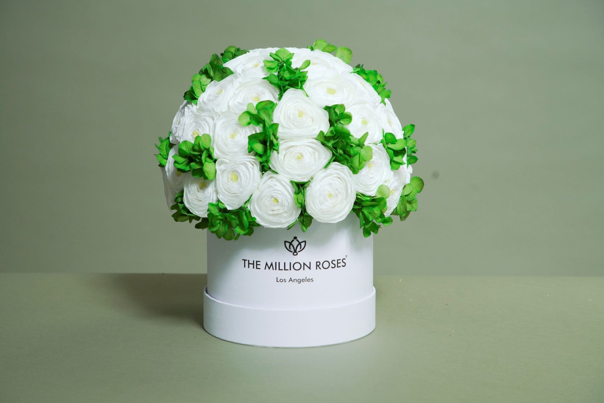 Classic White Box | White Persian Buttercups & Green Hydrangeas - The Million Roses
