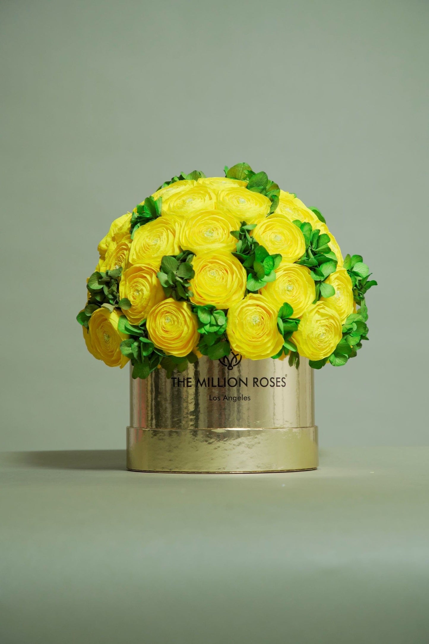 Classic Black Box | Yellow Persian Buttercups & Green Hydrangeas - The Million Roses