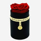 One in a Million™ Round Black Box | All of me loves all of You | Red Rose