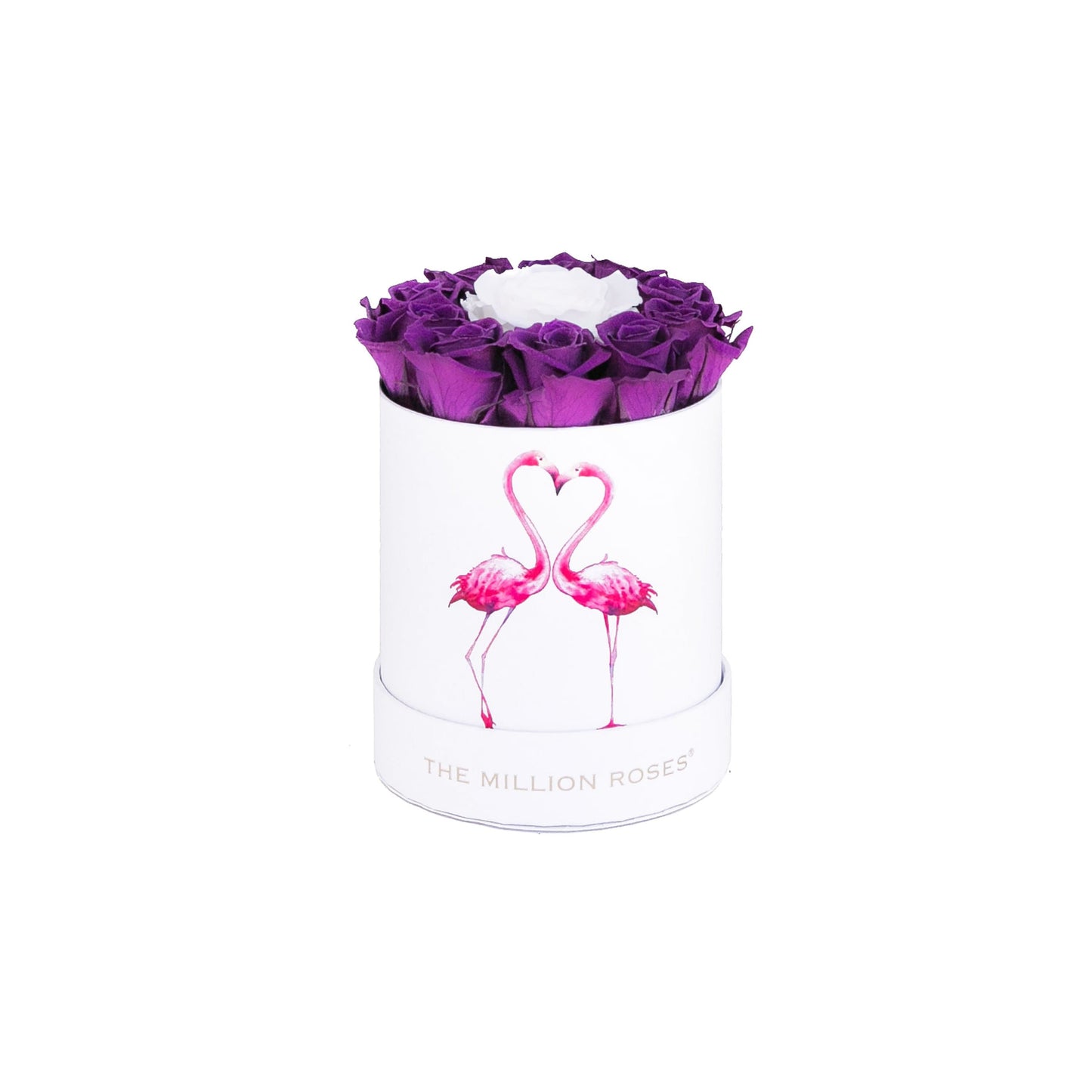 Basic White Box | Flamingo Edition | Bright Purple Mini Roses - The Million Roses