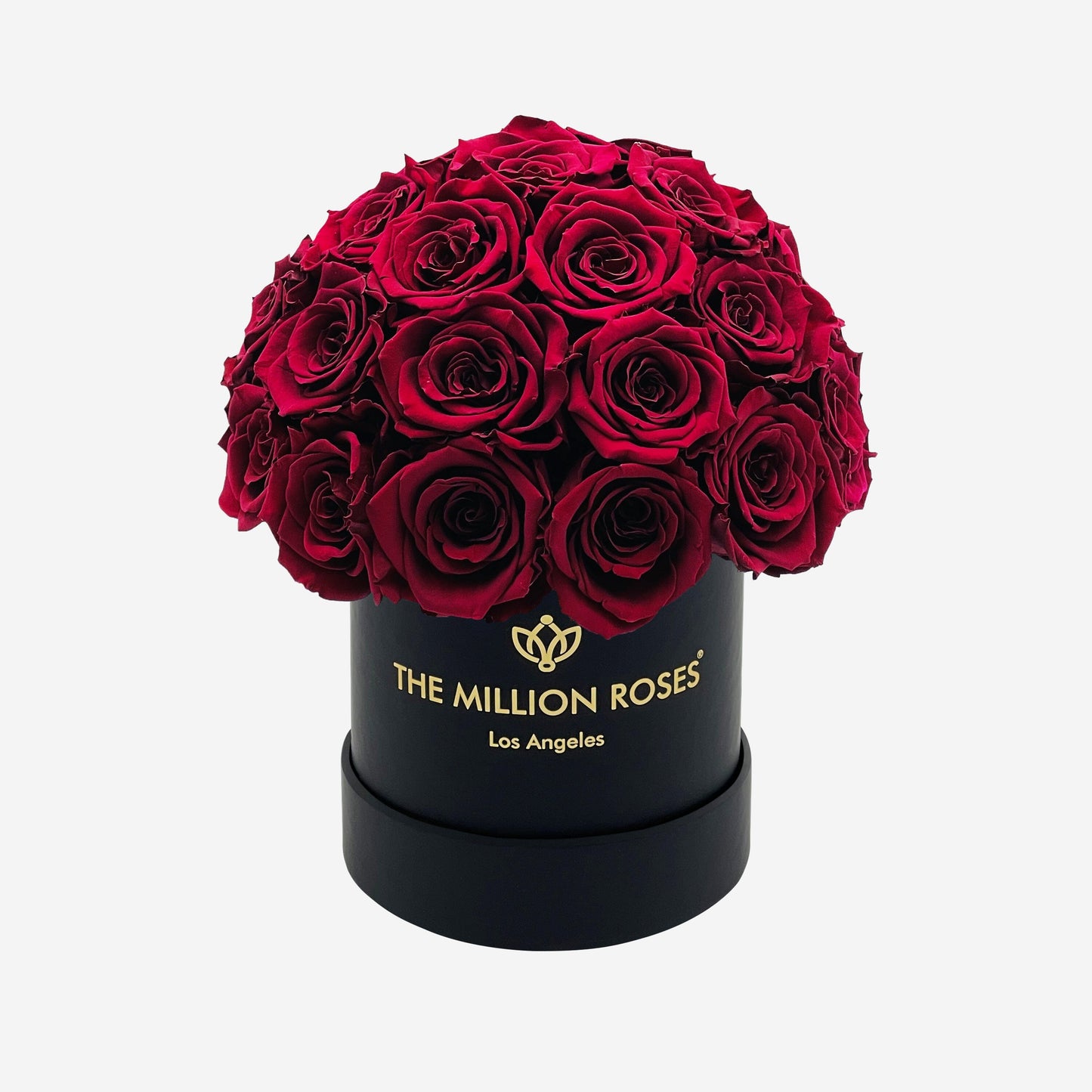 Basic Black Superdome Box | Burgundy Roses - The Million Roses