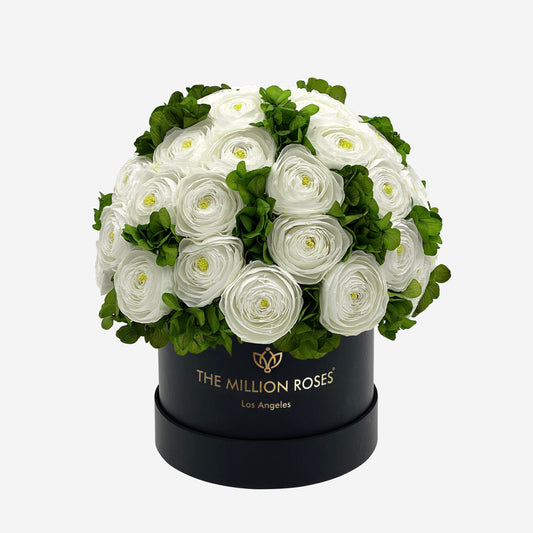 Classic Black Box | White Persian Buttercups & Green Hydrangeas - The Million Roses