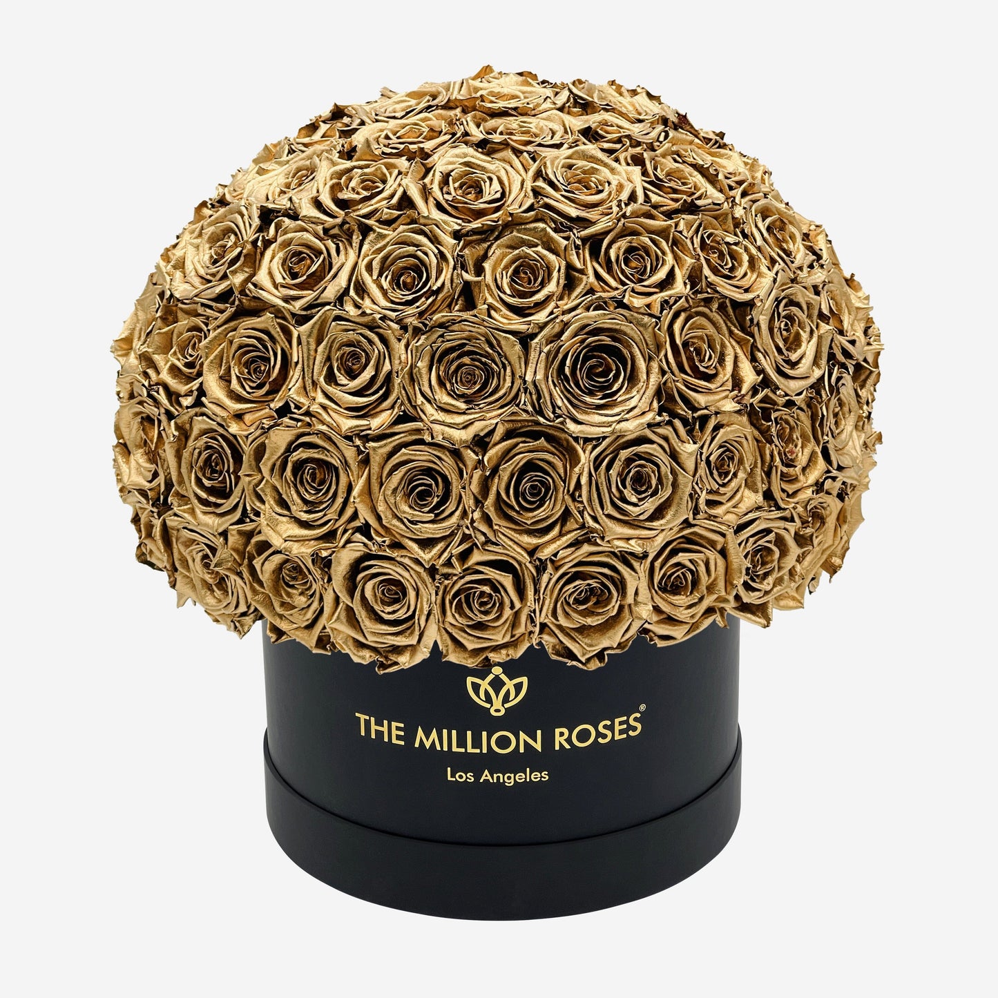 Supreme Black Superdome Box | Gold Roses - The Million Roses