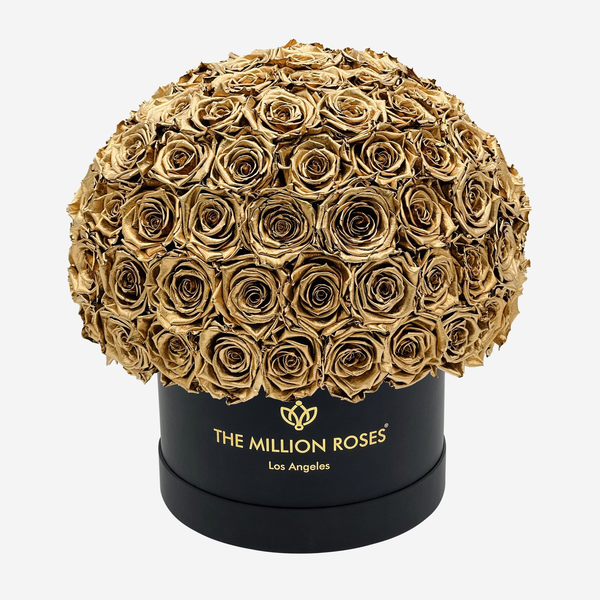 Supreme Black Superdome Box | Gold Roses - The Million Roses