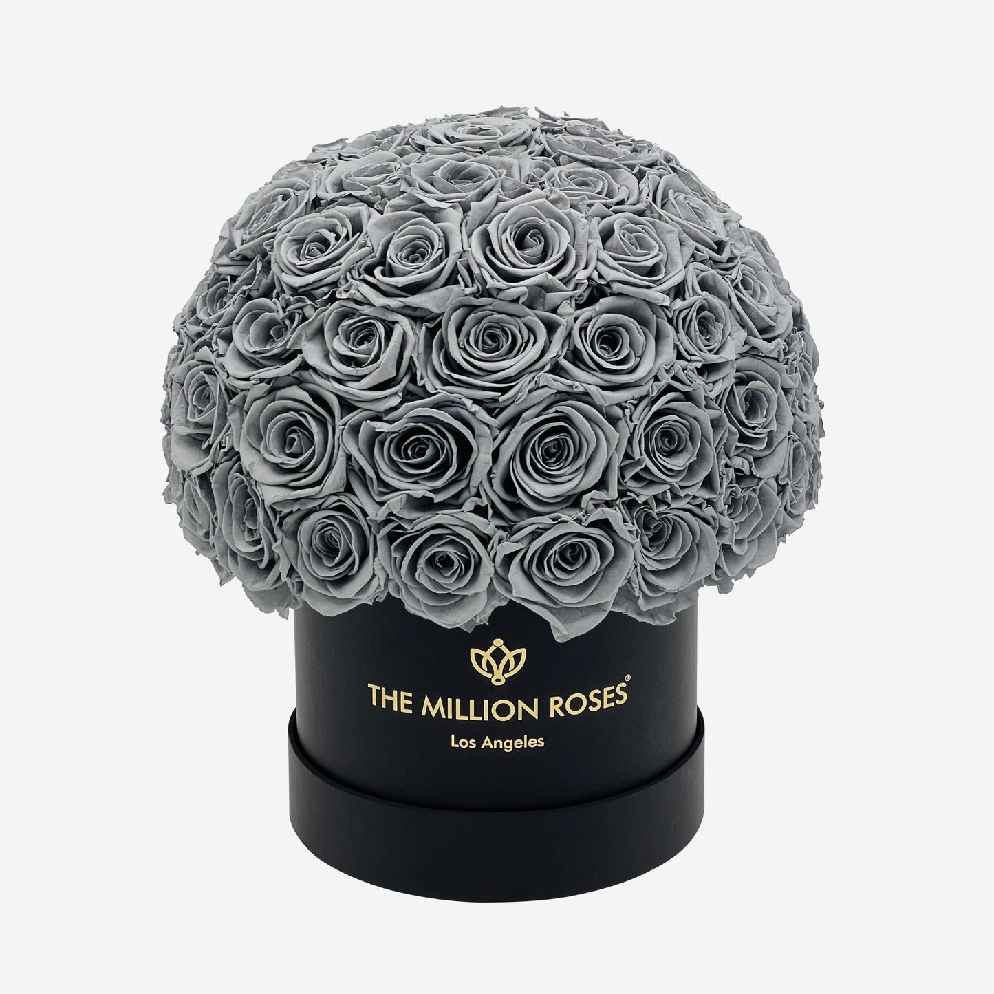 Classic Black Superdome Box | Pastel Grey Roses - The Million Roses