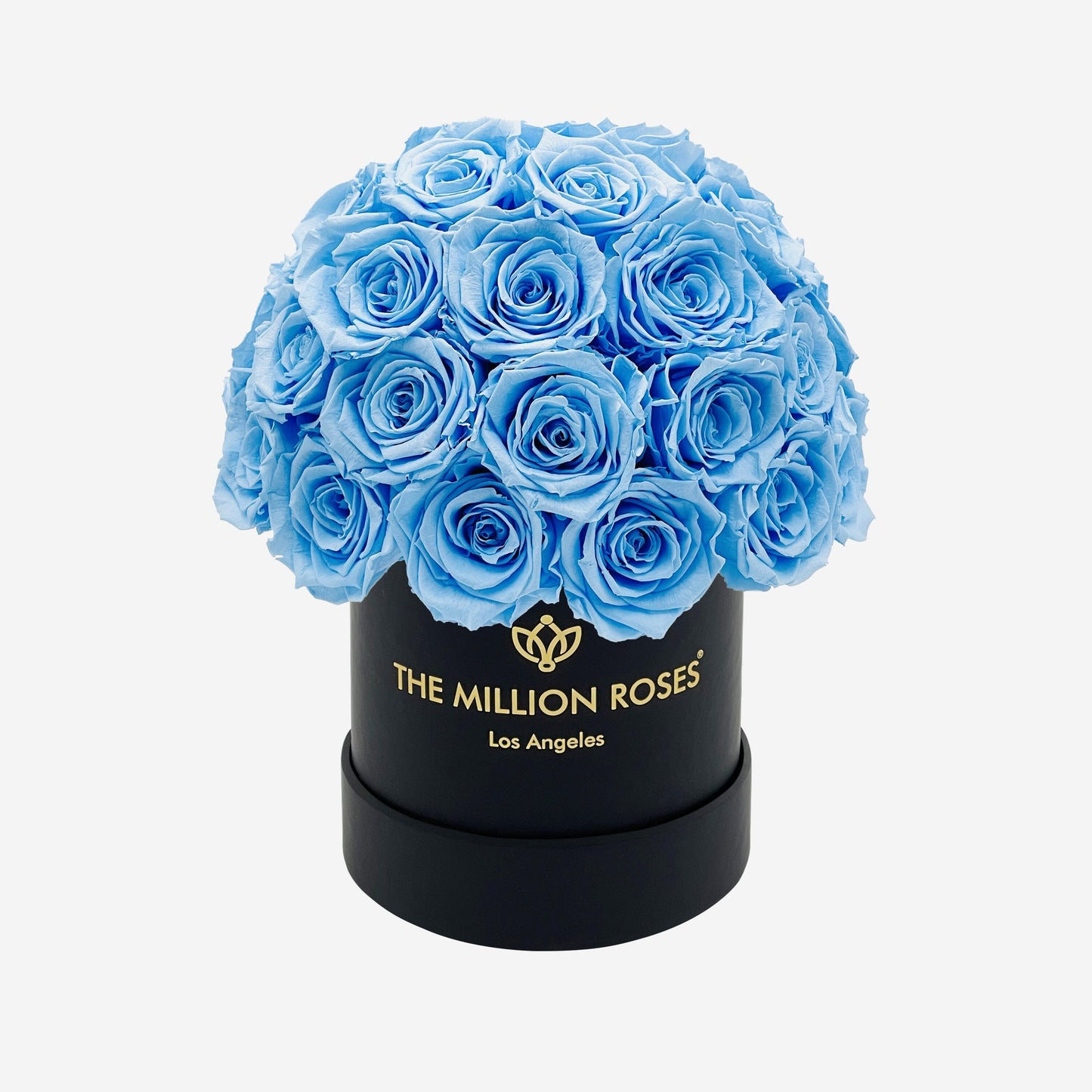 Basic Black Superdome Box | Light Blue Roses - The Million Roses