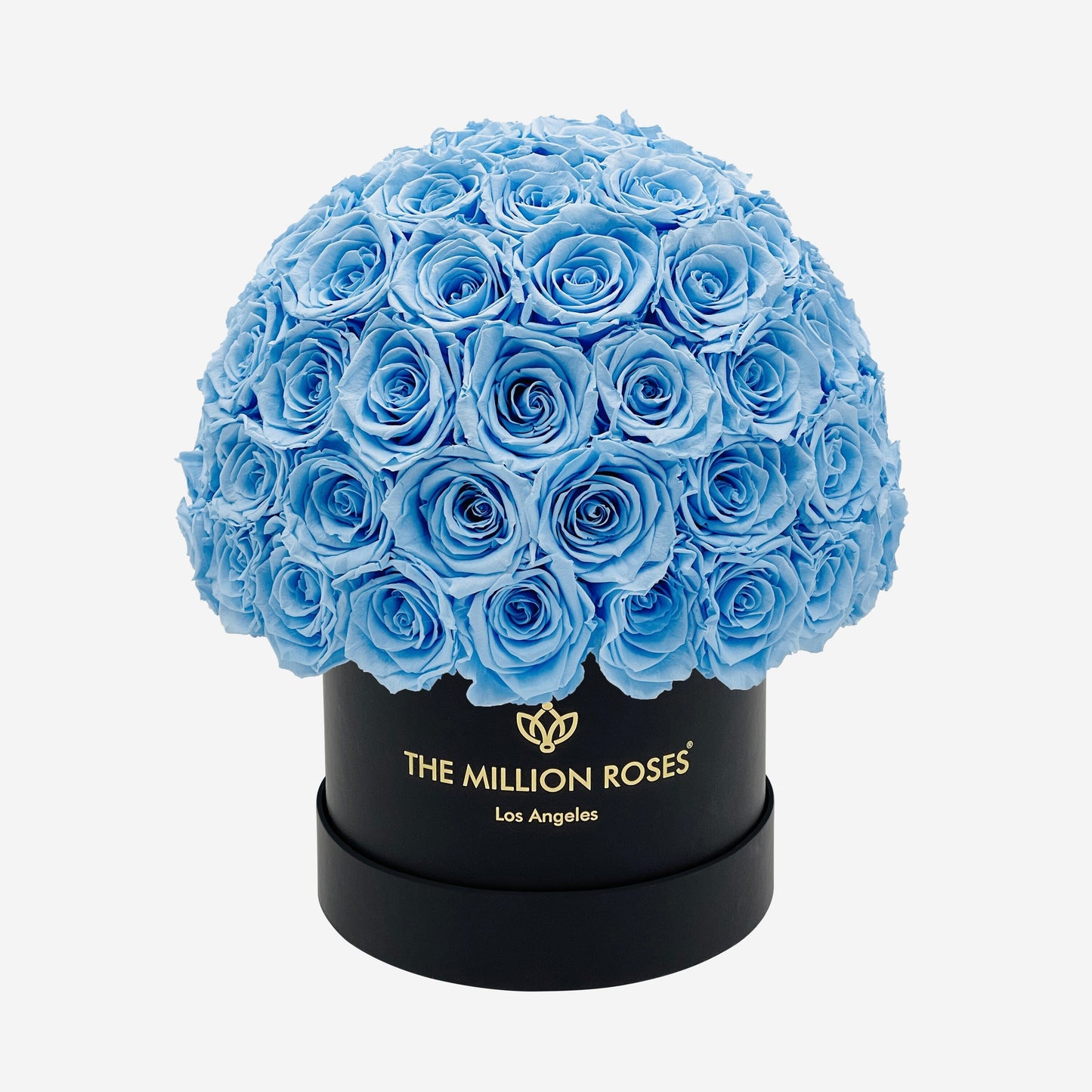 Classic Black Superdome Box | Light Blue Roses - The Million Roses