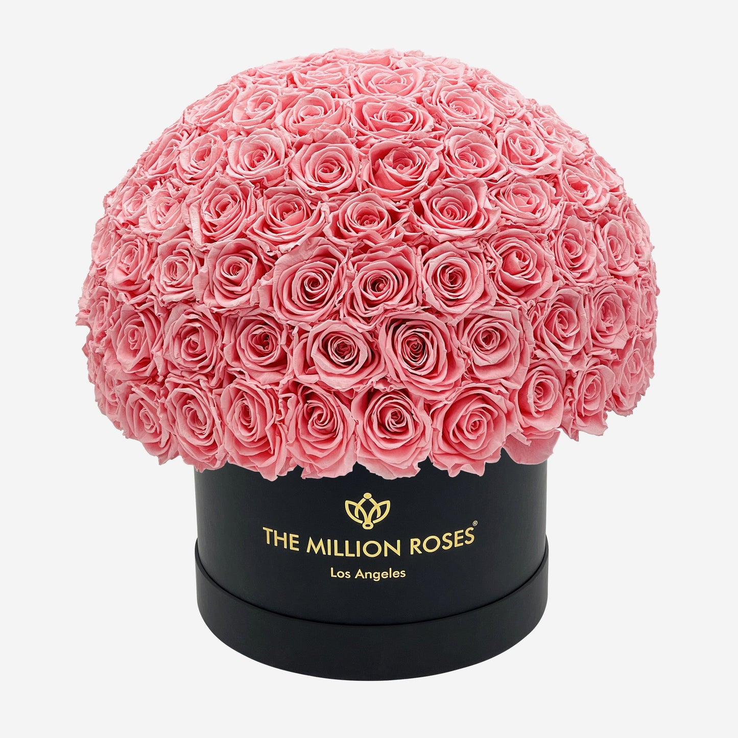 Supreme Black Superdome Box | Light Pink Roses - The Million Roses