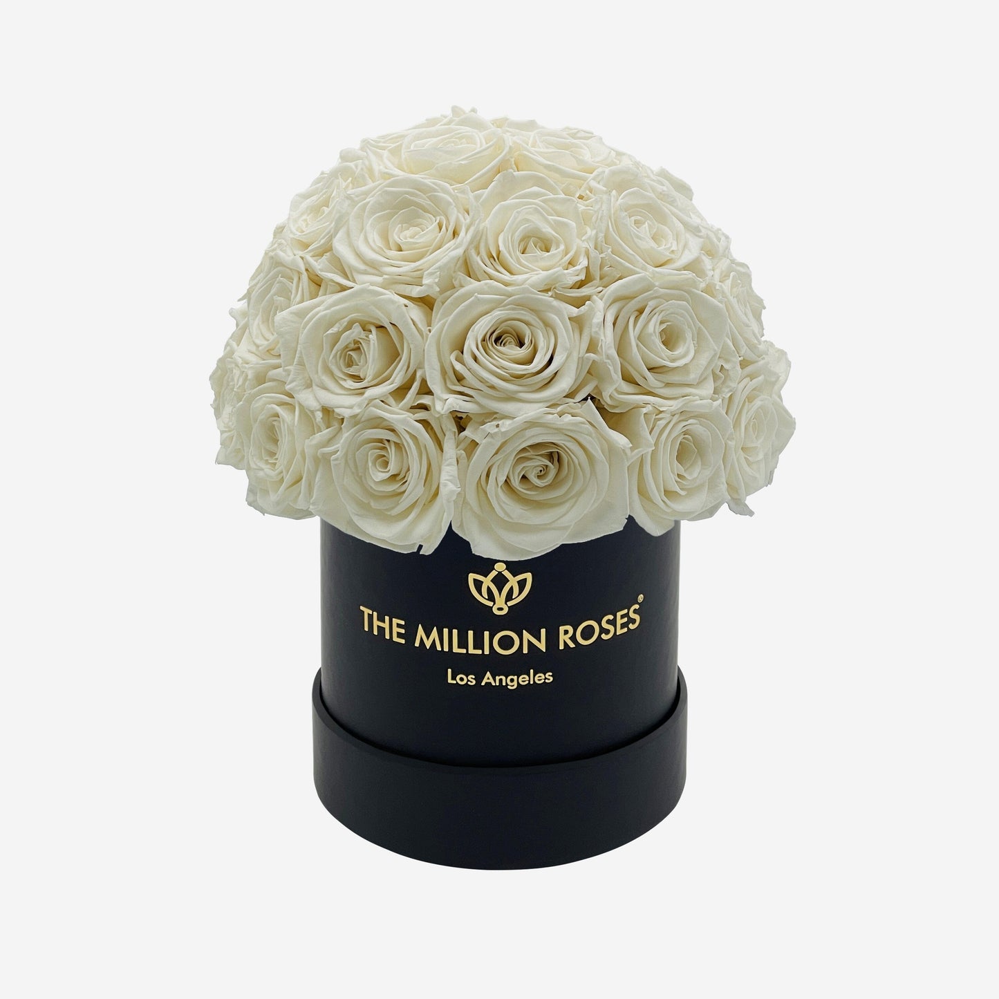 Basic Black Superdome Box | White Roses - The Million Roses