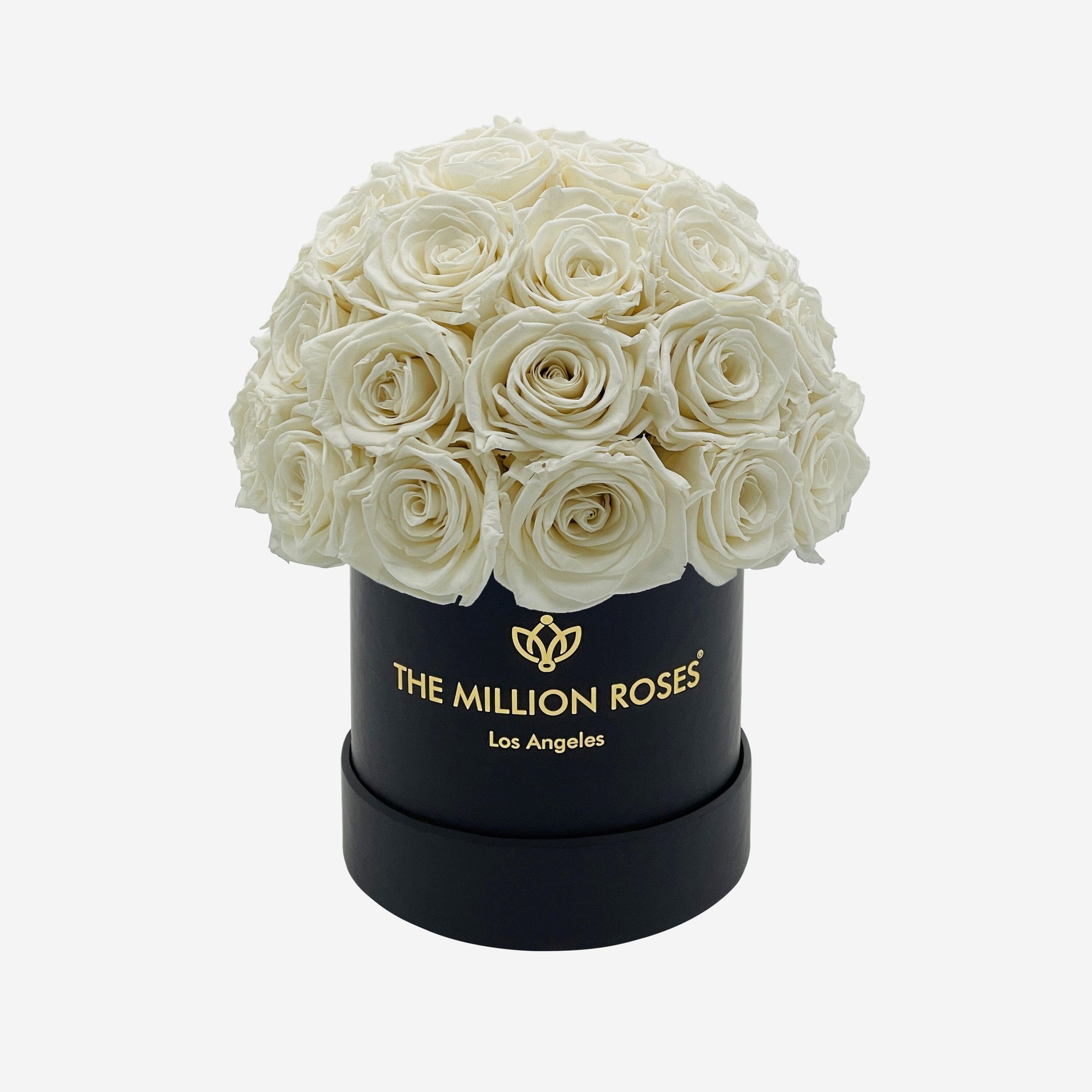 Basic Black Superdome Box | White Roses - The Million Roses