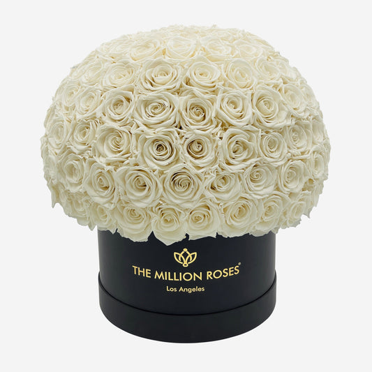 Supreme Black Superdome Box | White Roses - The Million Roses
