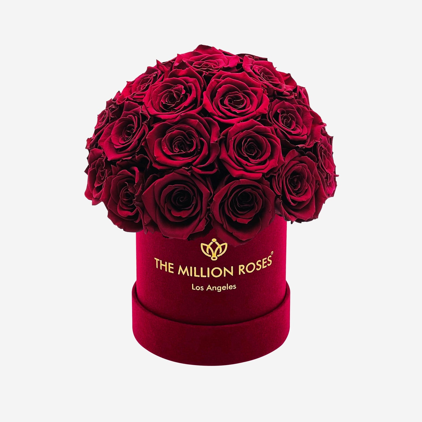 Basic Bordeaux Suede Superdome Box | Burgundy Roses - The Million Roses