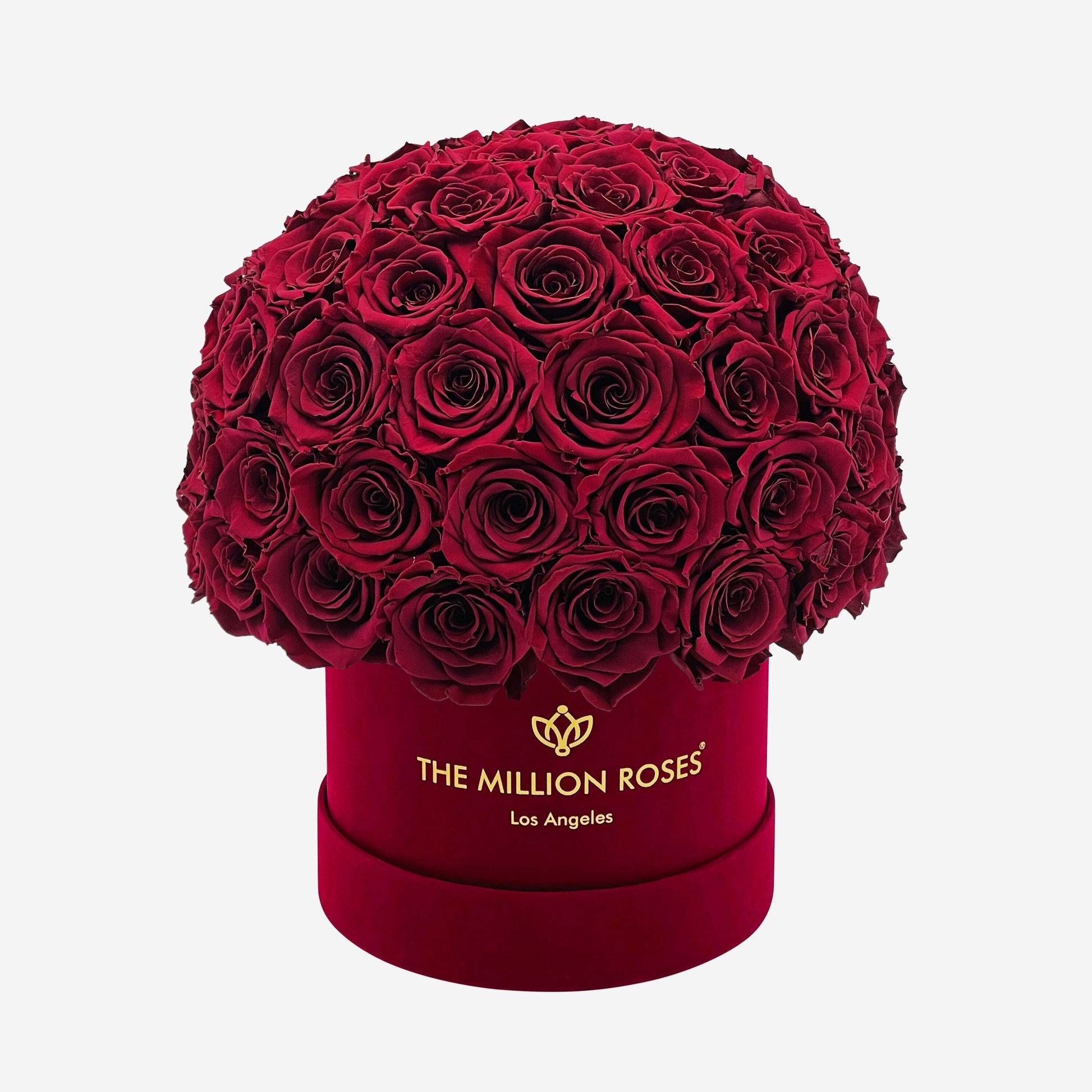 Classic Bordeaux Suede Superdome Box | Burgundy Roses - The Million Roses