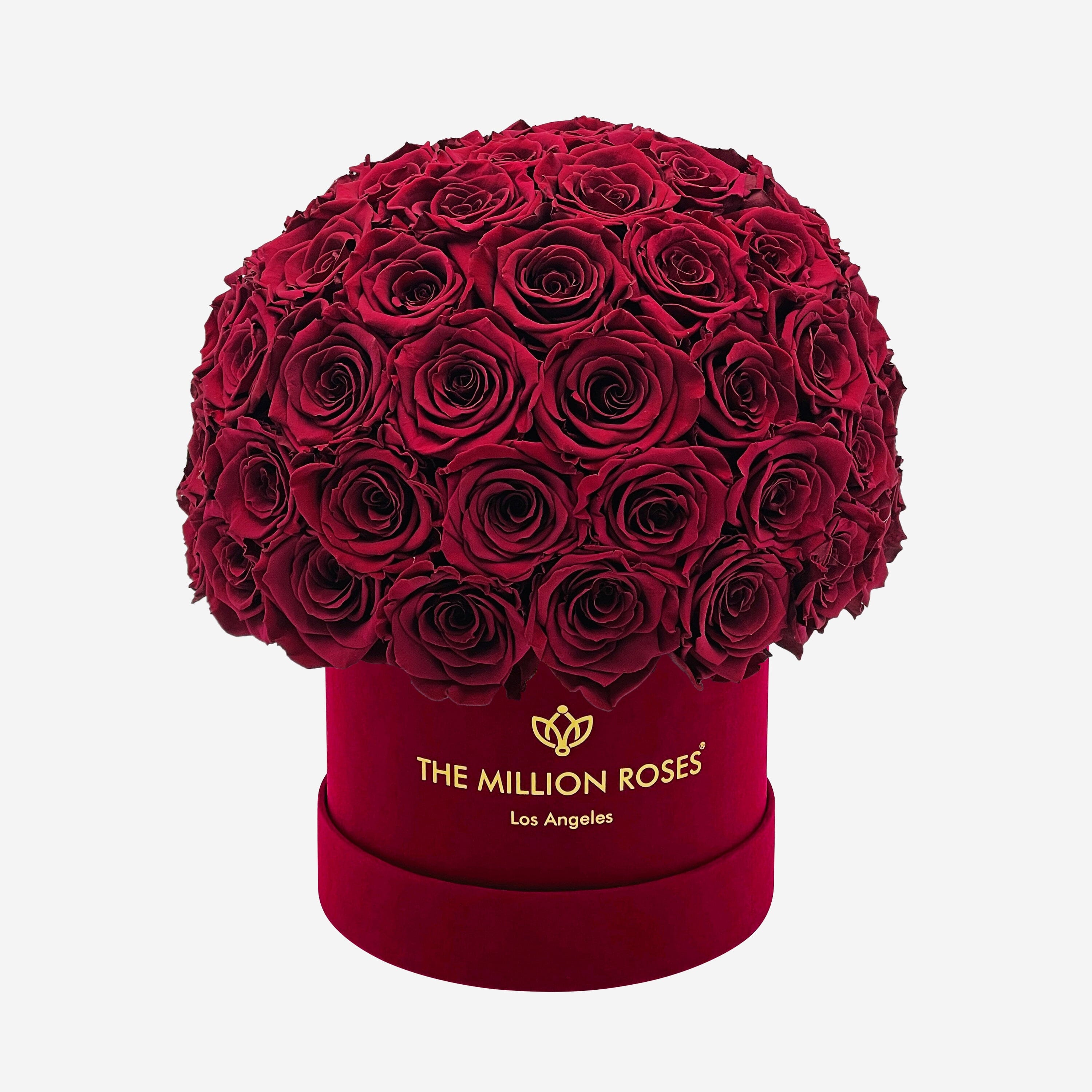 Classic Bordeaux Suede Superdome Box | Burgundy Roses - The Million Roses