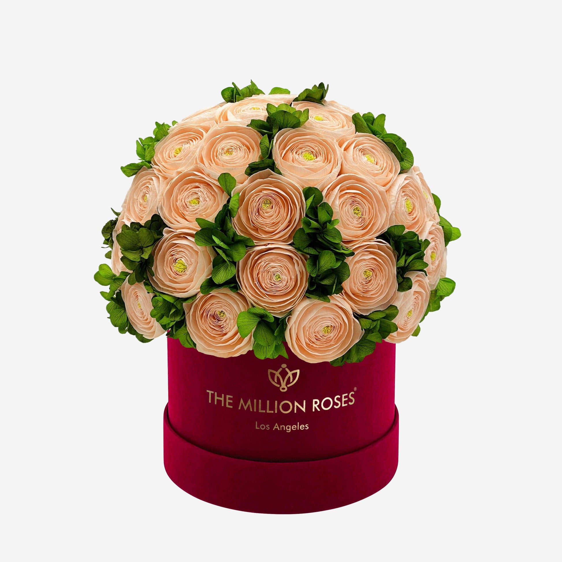 Classic Bordeaux Suede Box | Peach Persian Buttercups & Green Hydrangeas - The Million Roses