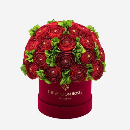 Classic Bordeaux Suede Box | Red Persian Buttercups & Green Hydrangeas - The Million Roses