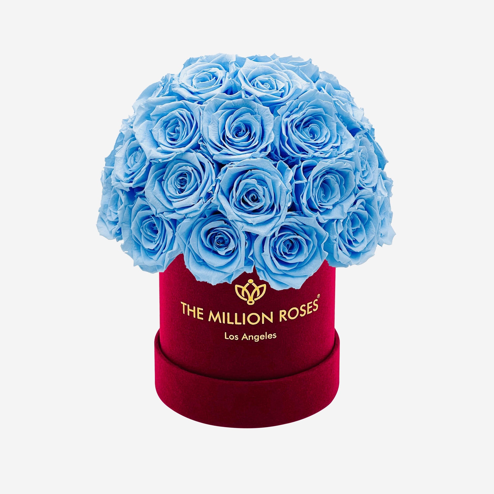 Basic Bordeaux Suede Superdome Box | Light Blue Roses - The Million Roses