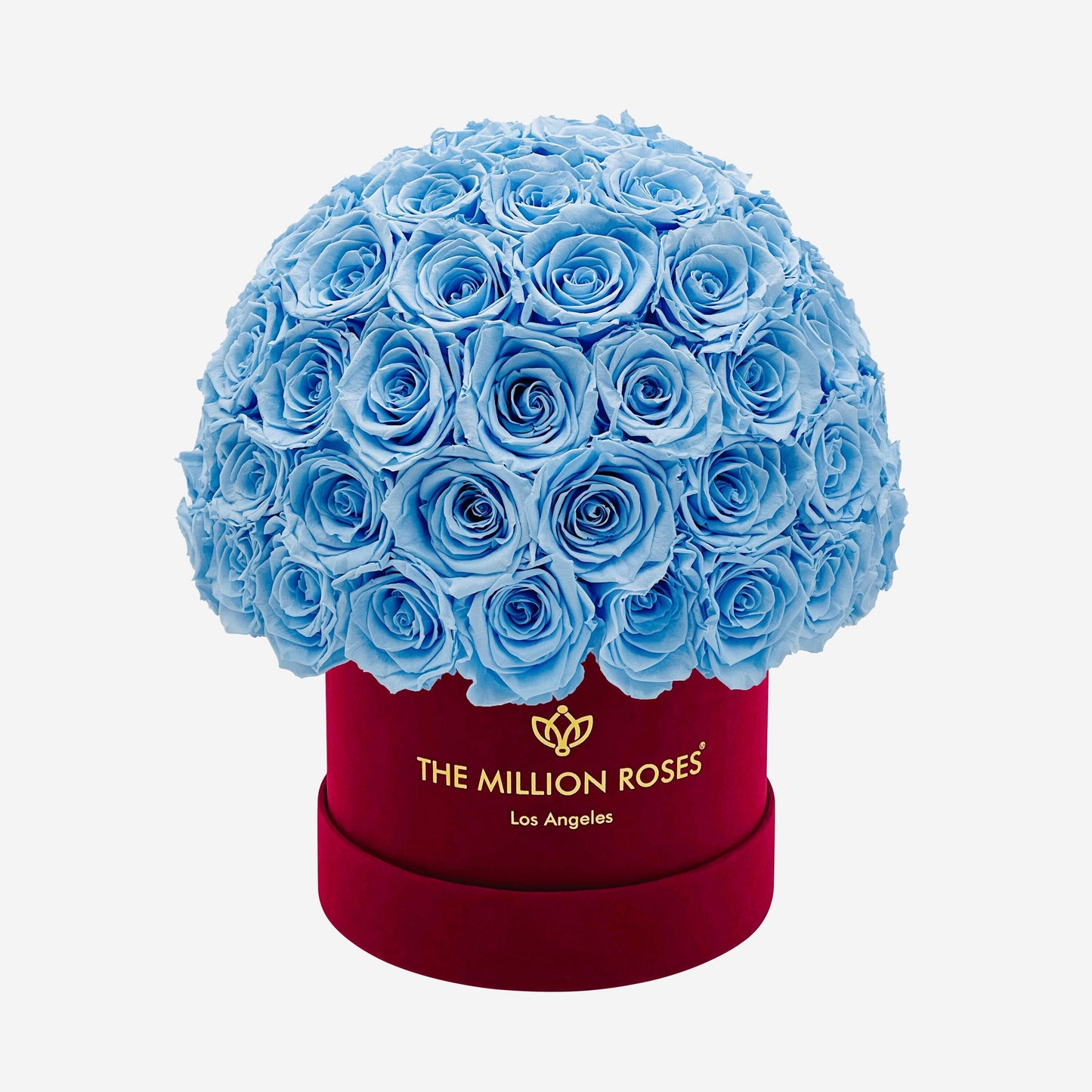 Classic Bordeaux Suede Superdome Box | Light Blue Roses - The Million Roses
