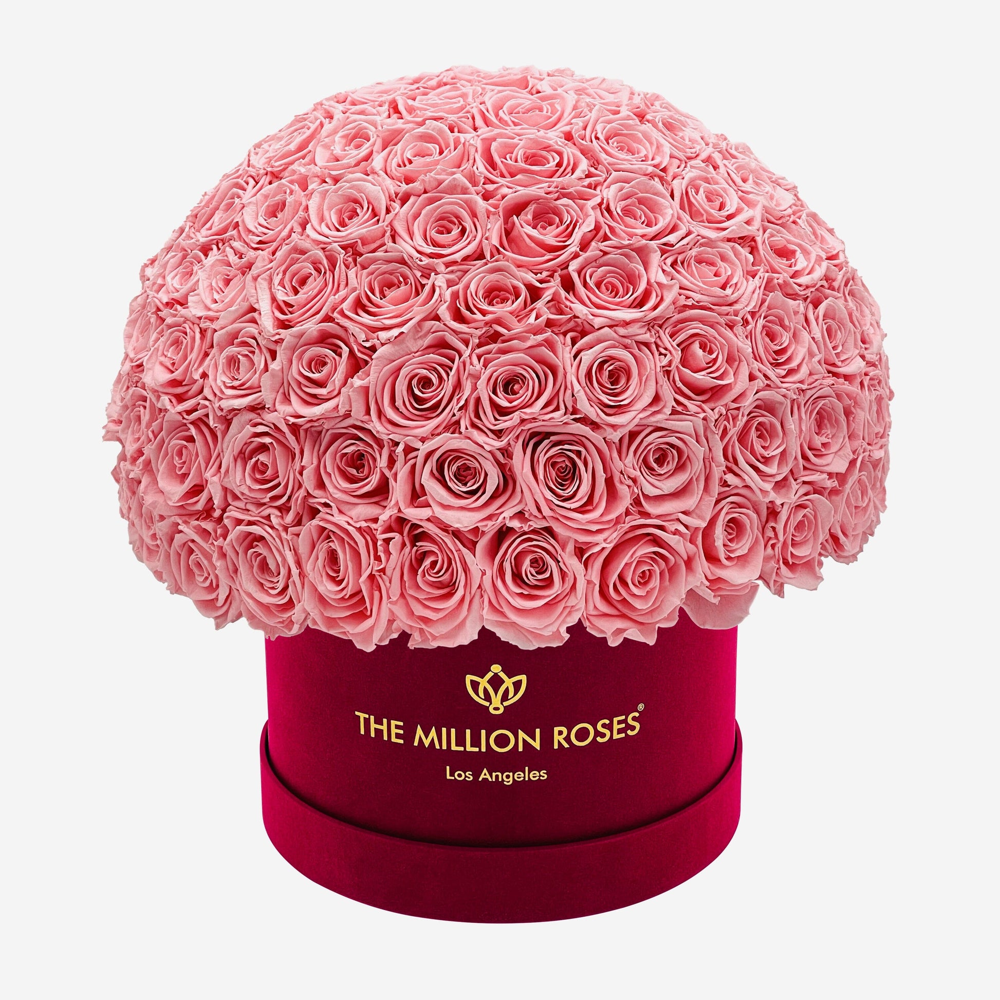 Supreme Bordeaux Suede Superdome Box | Light Pink Roses - The Million Roses