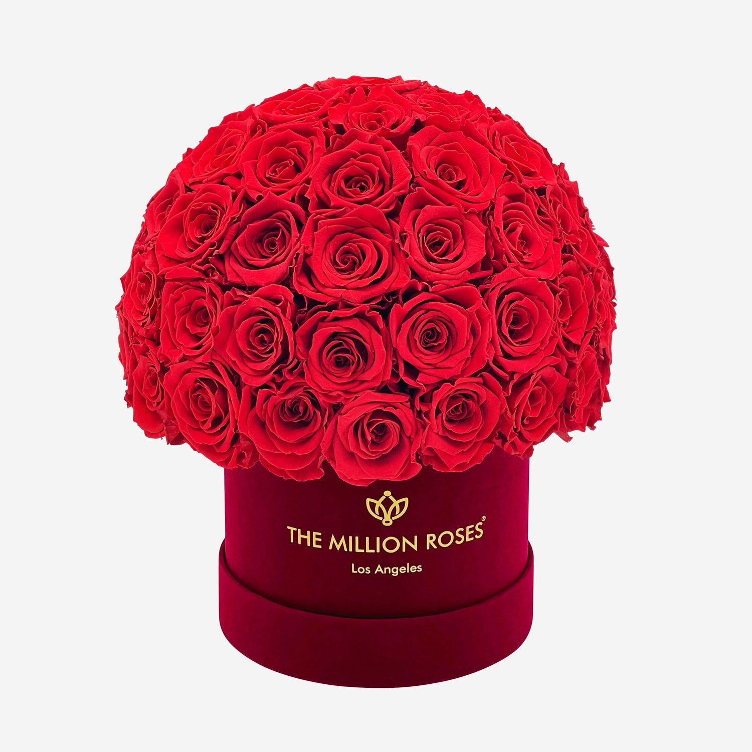 Classic Bordeaux Suede Superdome Box | Red Roses - The Million Roses