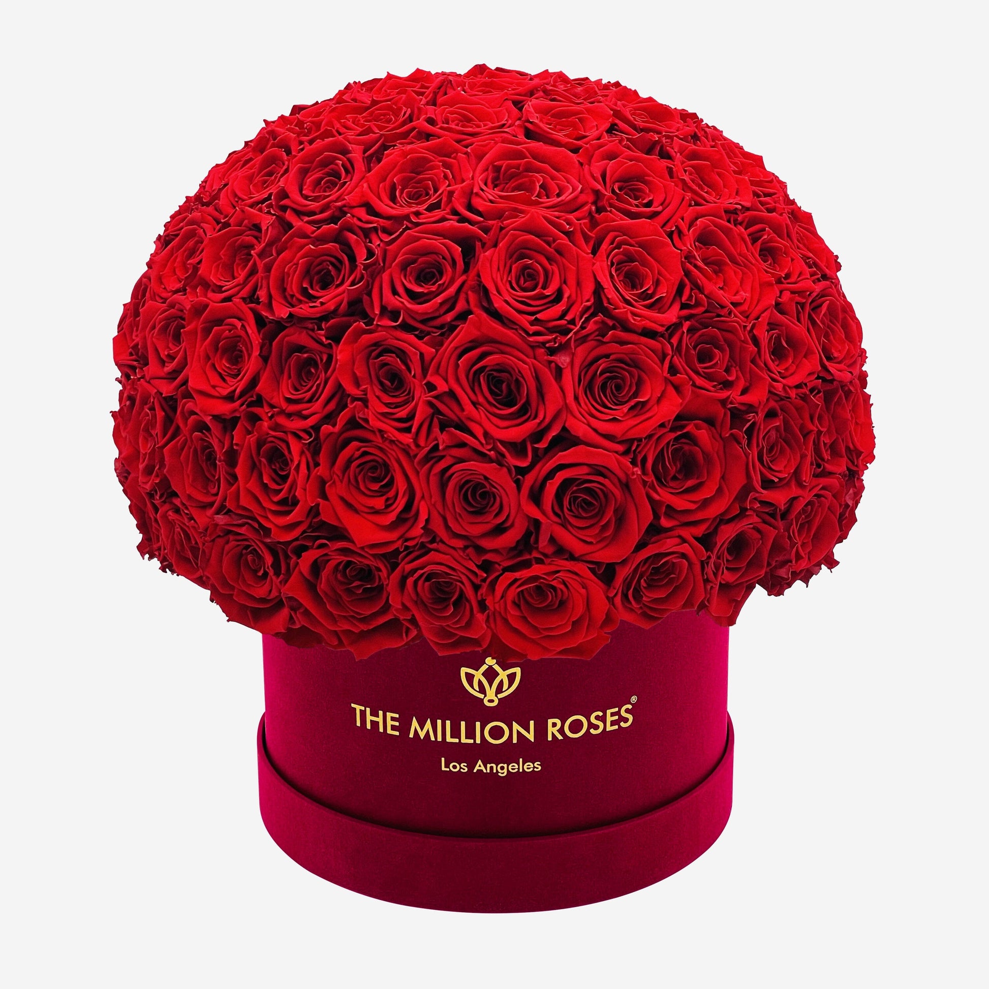 Supreme Bordeaux Suede Superdome Box | Red Roses - The Million Roses