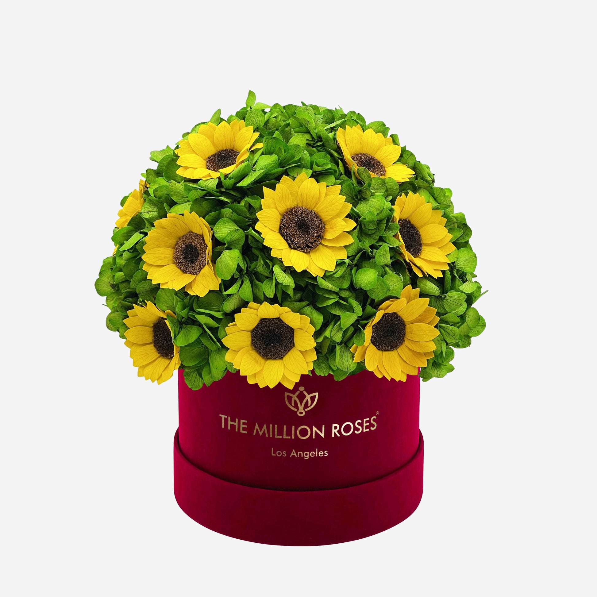 Classic Bordeaux Suede Box | Green Hydrangeas & Sunflowers - The Million Roses