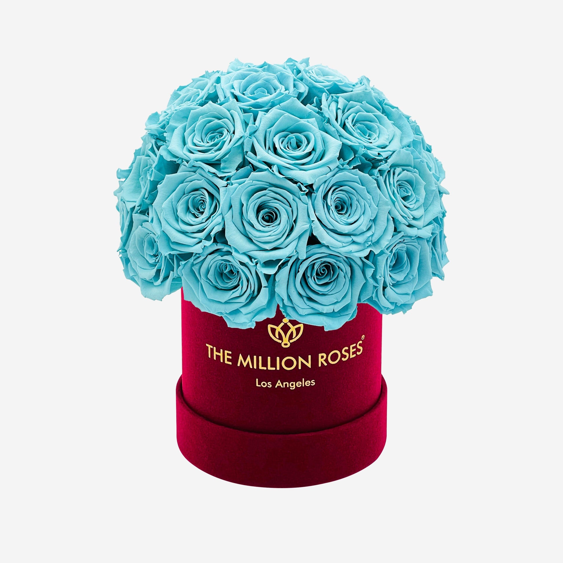 Basic Bordeaux Suede Superdome Box | Turquoise Roses - The Million Roses