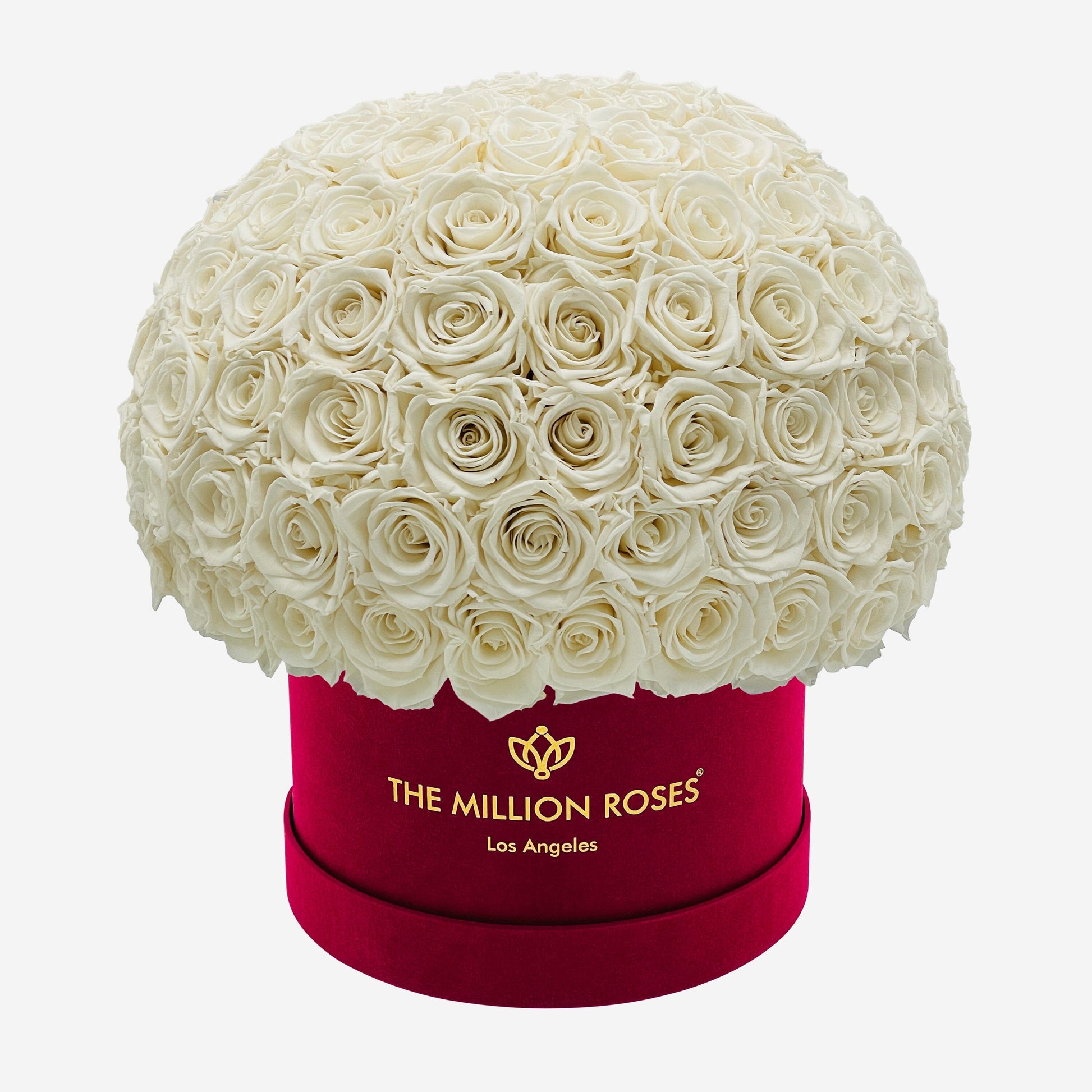 Supreme Bordeaux Suede Superdome Box | White Roses - The Million Roses