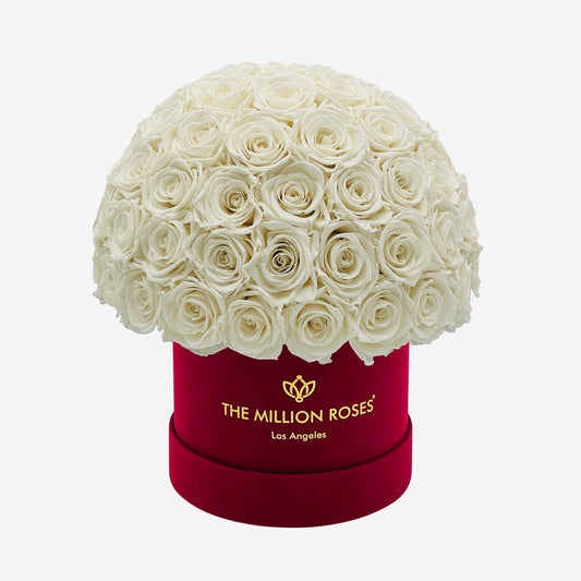 Classic Bordeaux Suede Superdome Box | White Roses - The Million Roses