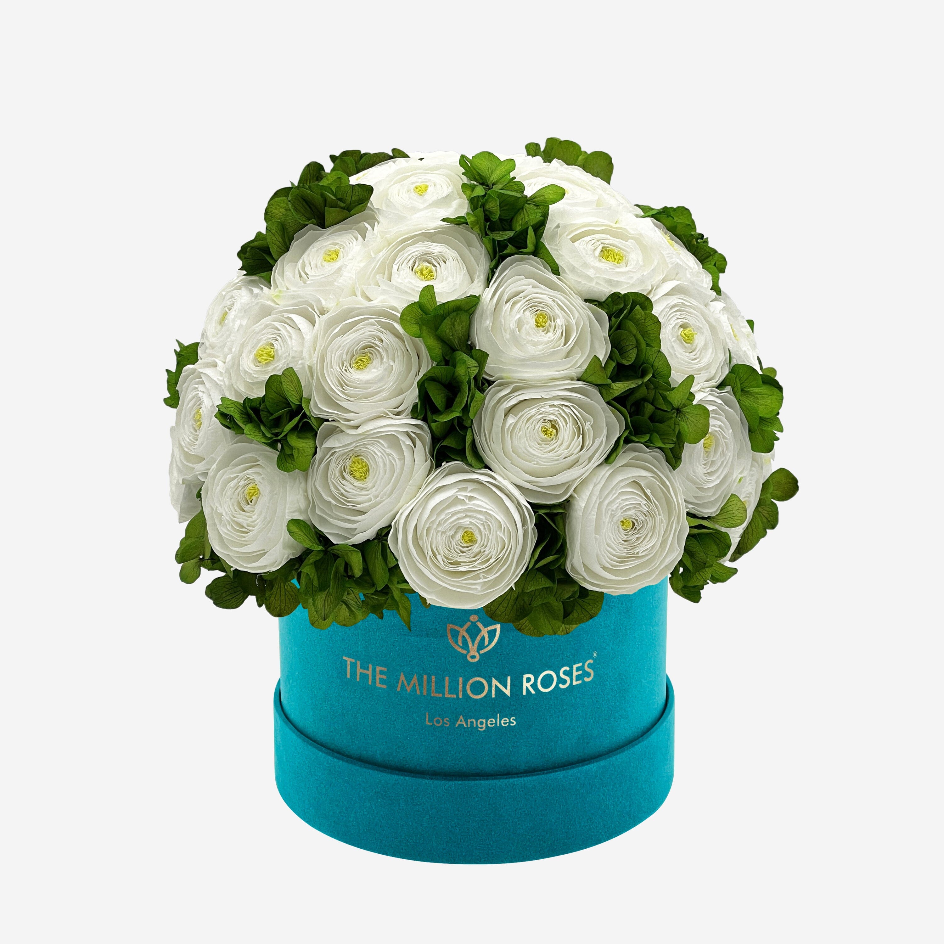 Classic Dark Green Suede Box | White Persian Buttercups & Green Hydrangeas - The Million Roses