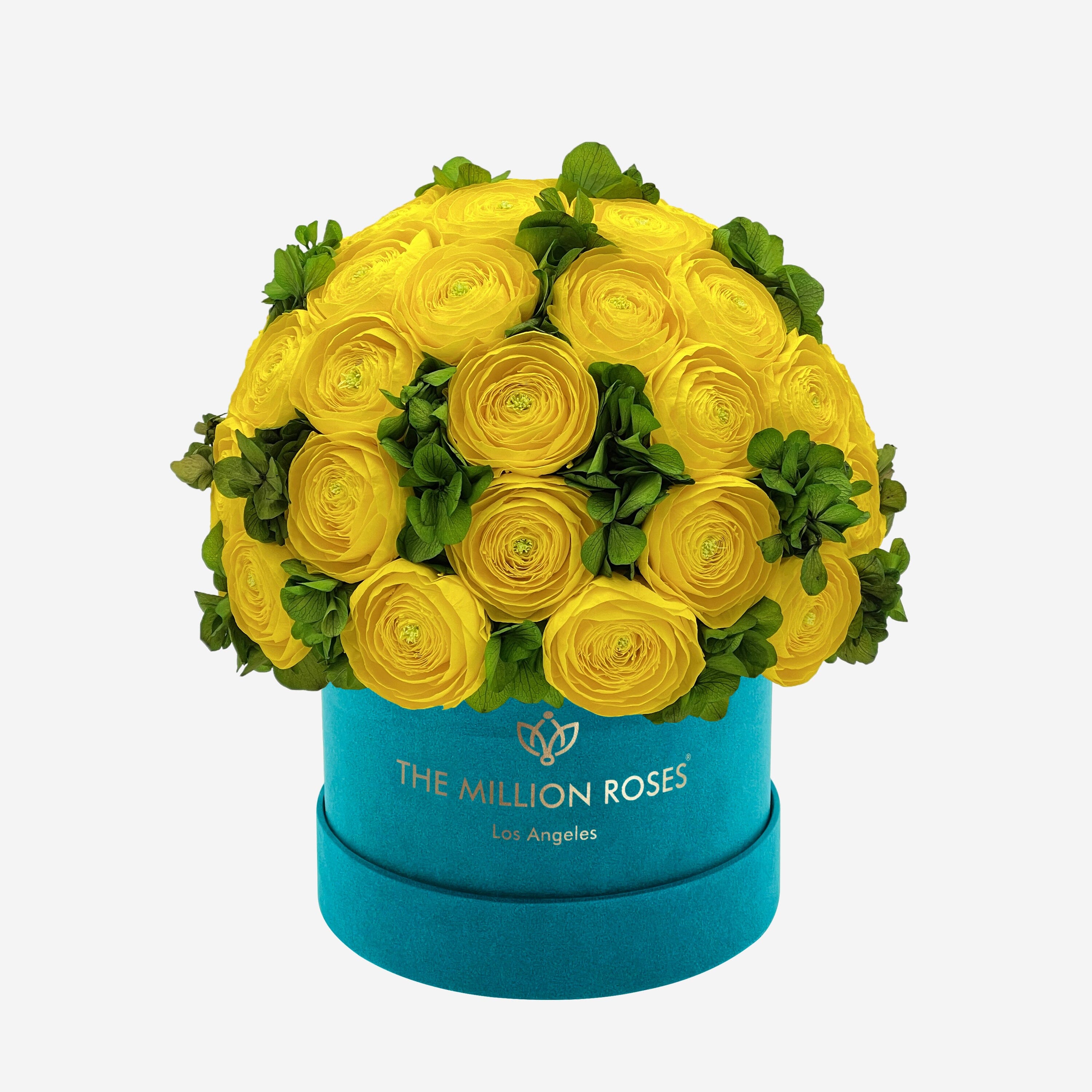 Classic Dark Green Suede Box | Yellow Persian Buttercups & Green Hydrangeas - The Million Roses