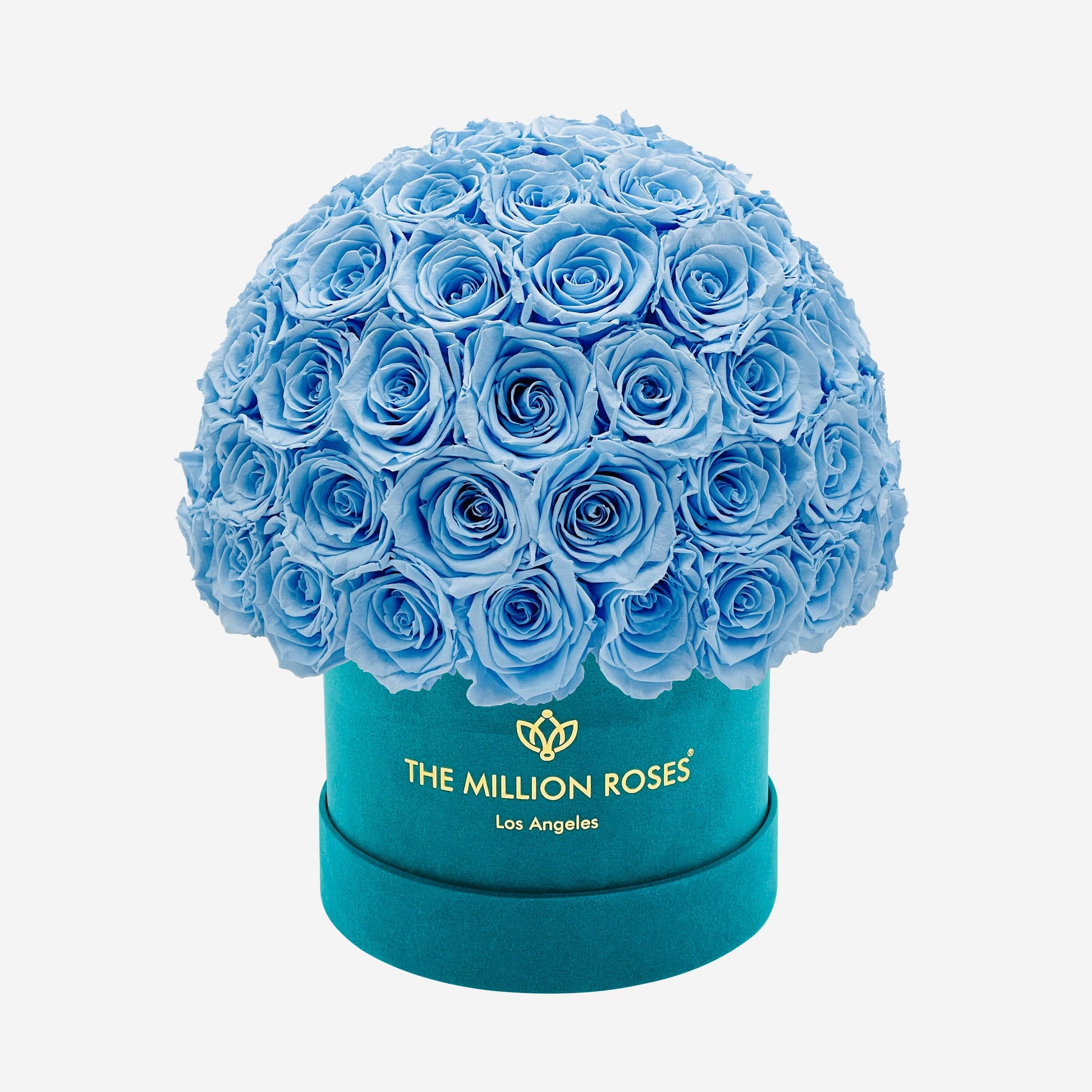 Classic Dark Green Suede Superdome Box | Light Blue Roses - The Million Roses