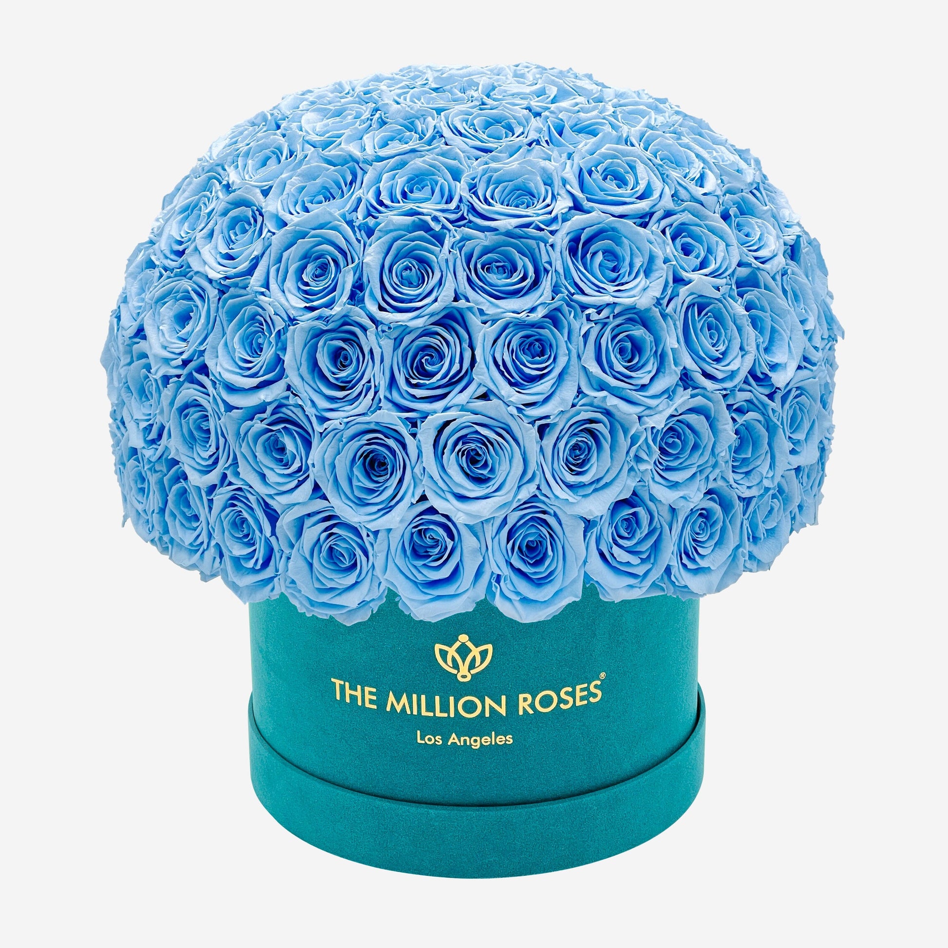 Supreme Dark Green Suede Superdome Box | Light Blue Roses - The Million Roses