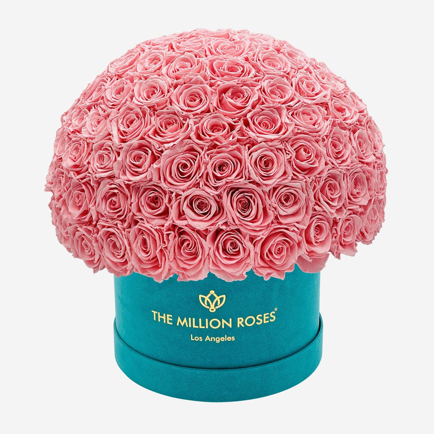 Supreme Dark Green Suede Superdome Box | Light Pink Roses - The Million Roses
