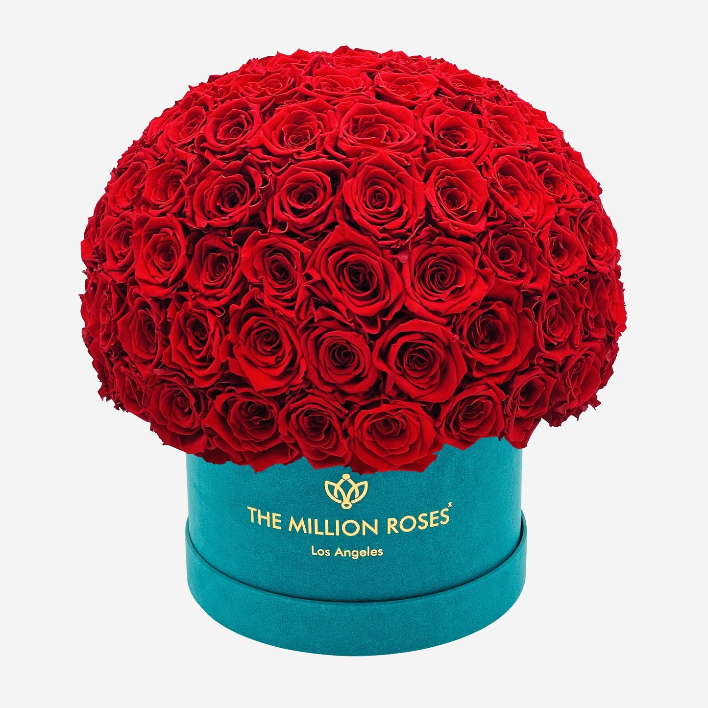 Supreme Dark Green Suede Superdome Box | Red Roses | The Million Roses