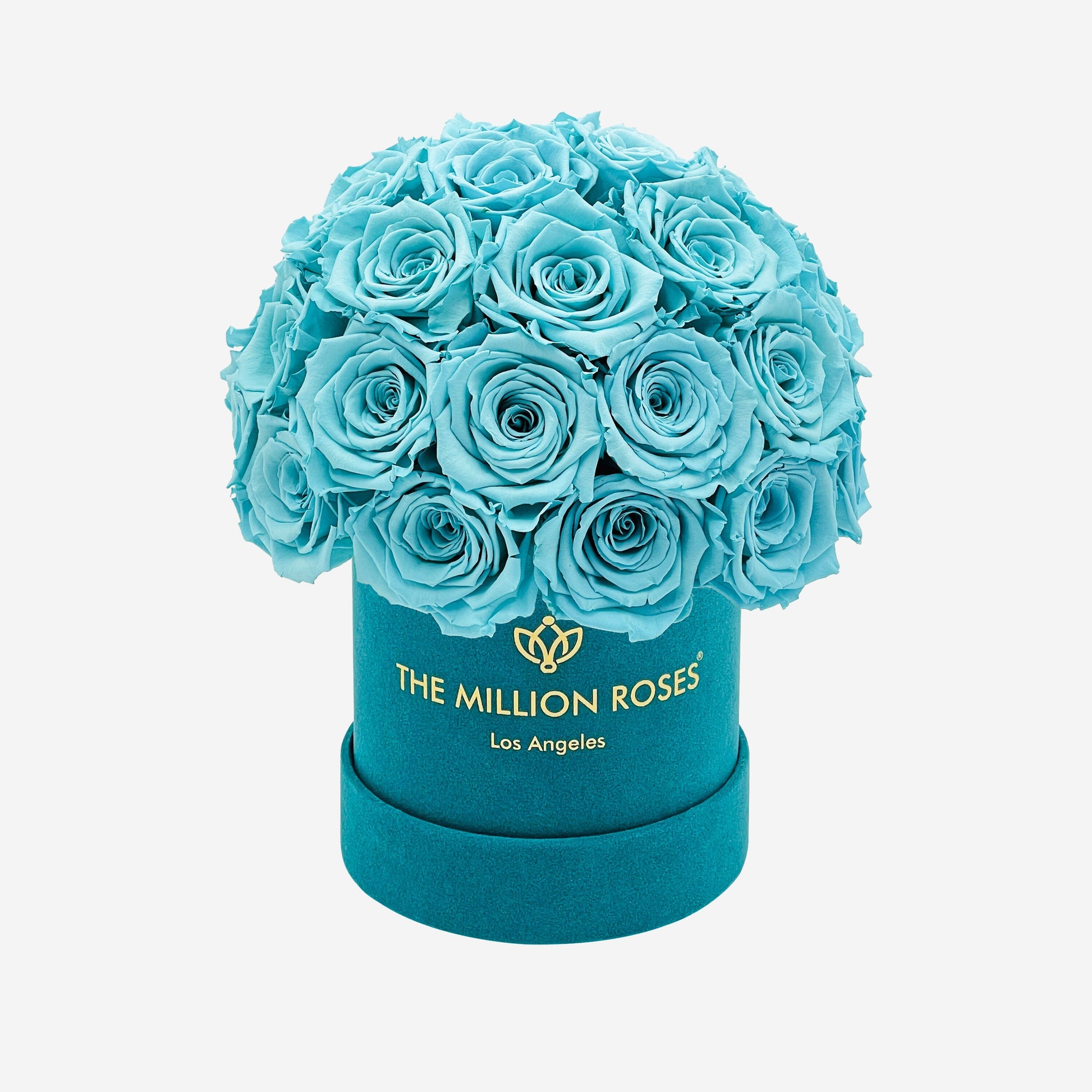 Rose Stabilizzate Blu in Cofanetto Luxury 6
