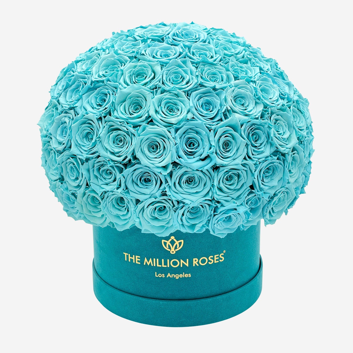 Supreme Dark Green Suede Superdome Box | Turquoise Blue Roses - The Million Roses