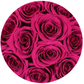 Basic White Box | Flamingo Edition | Pink Gold Roses - The Million Roses