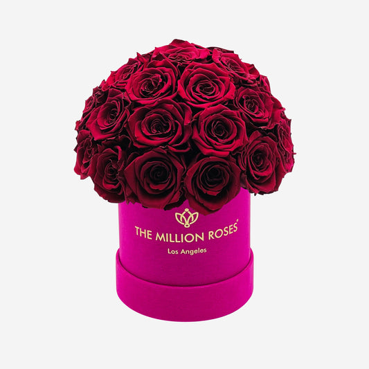Basic Hot Pink Suede Superdome Box | Burgundy Roses - The Million Roses