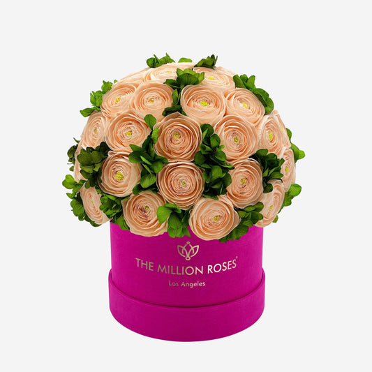 Classic Hot Pink Suede Box | Peach Persian Buttercups & Green Hydrangeas - The Million Roses