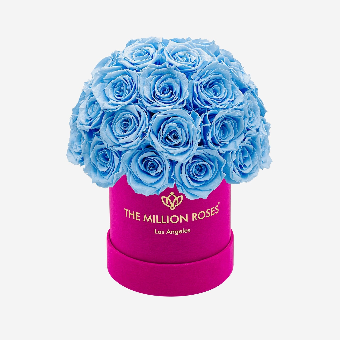 Basic Hot Pink Suede Superdome Box | Light Blue Roses - The Million Roses