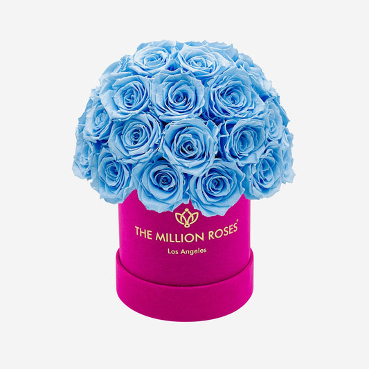 Basic Hot Pink Suede Superdome Box | Light Blue Roses - The Million Roses