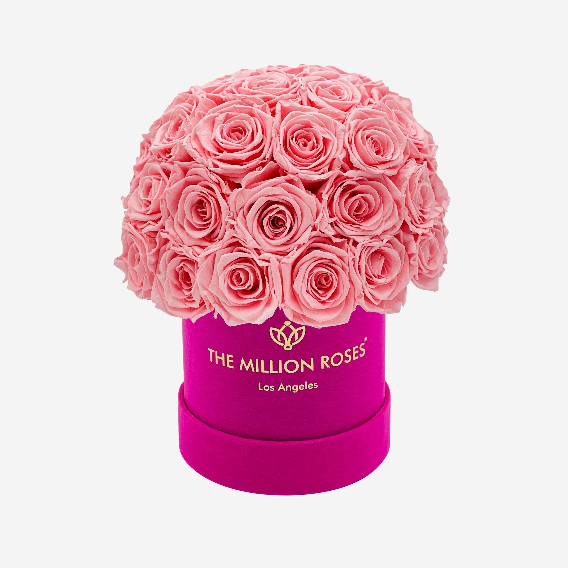 Basic Hot Pink Suede Superdome Box | Light Pink Roses - The Million Roses