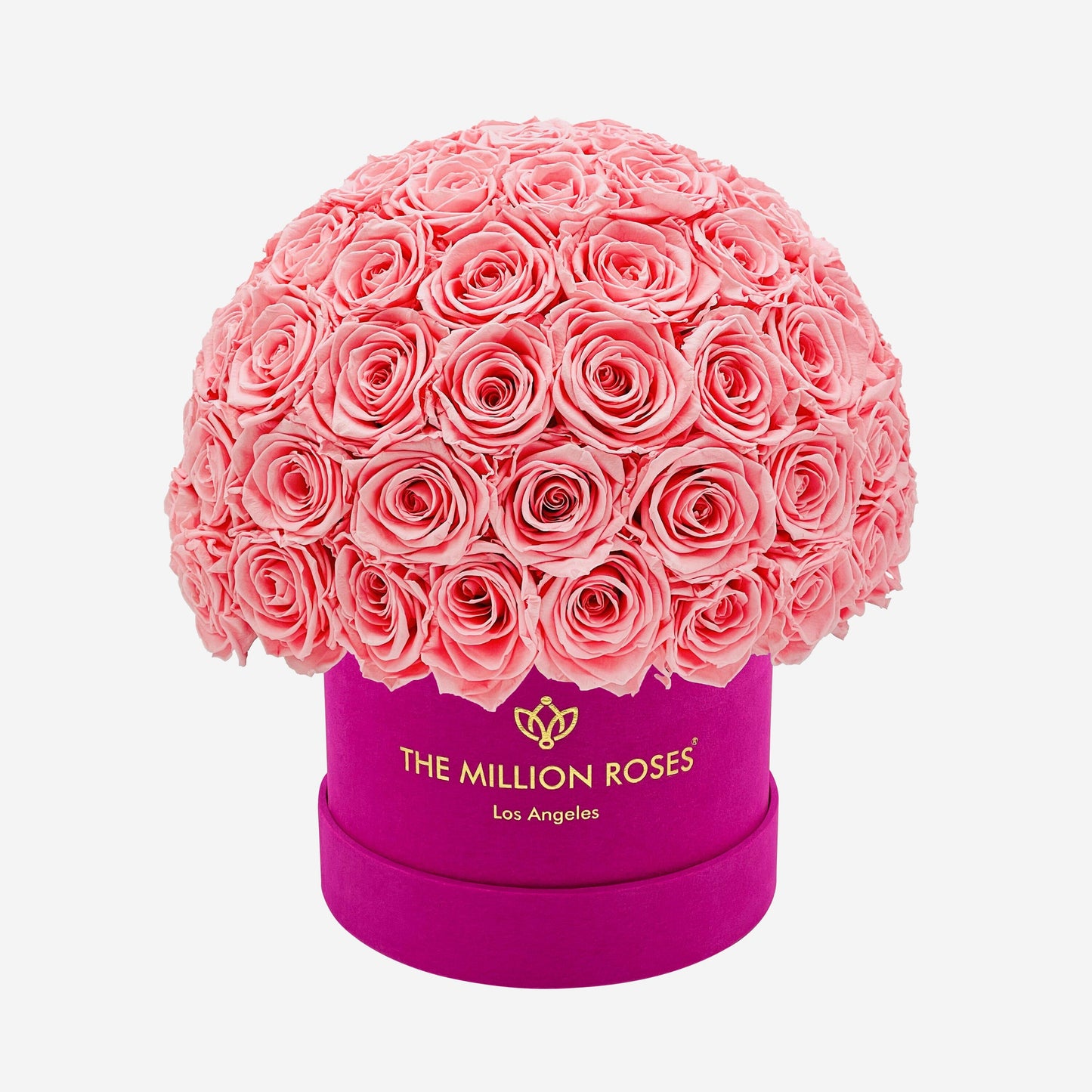 Classic Hot Pink Suede Superdome Box | Light Pink Roses - The Million Roses