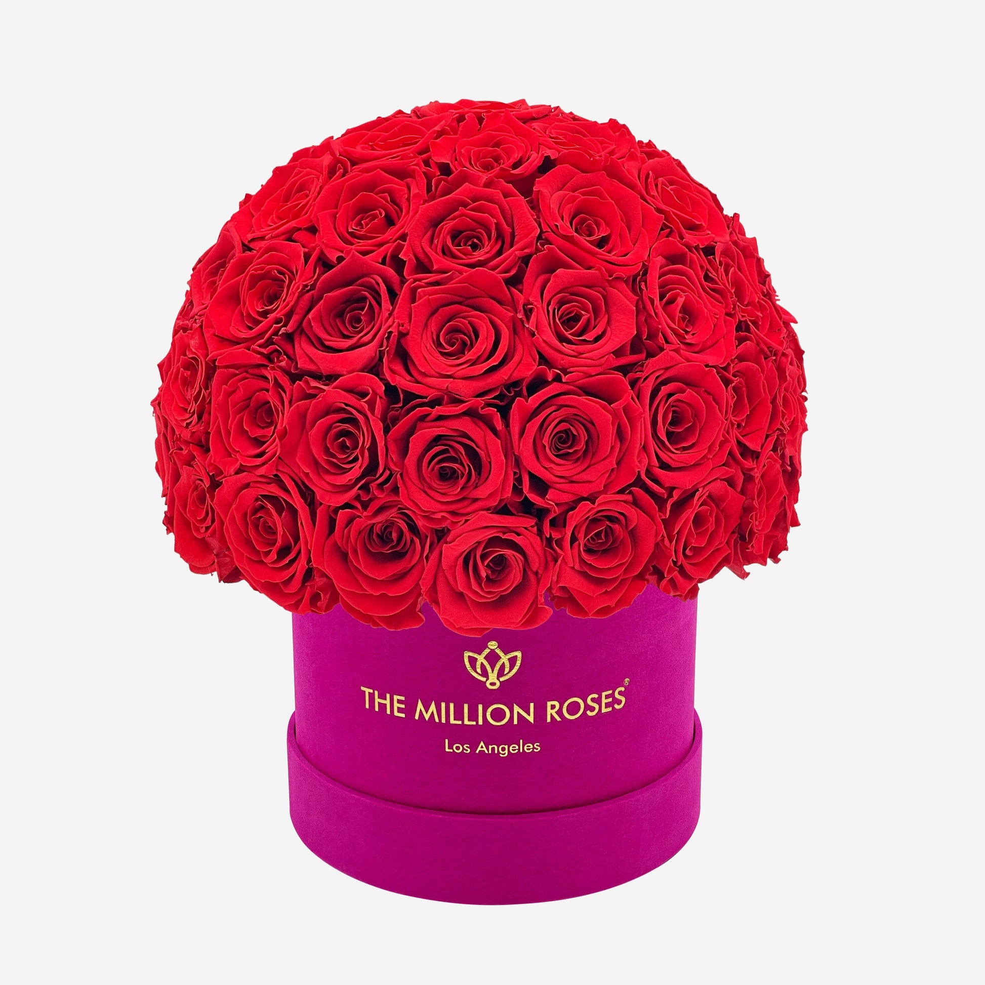 Classic Hot Pink Suede Superdome Box | Red Roses - The Million Roses
