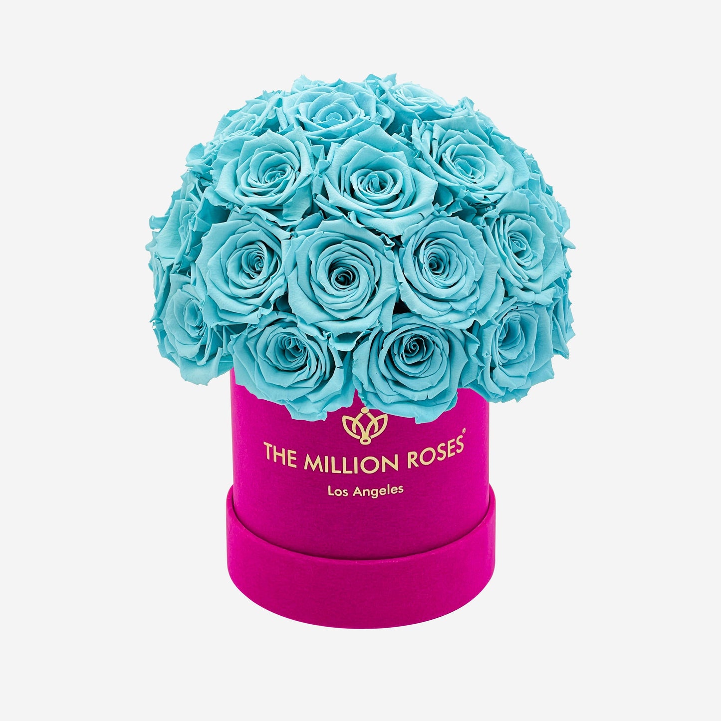 Basic Hot Pink Suede Superdome Box | Turquoise Roses - The Million Roses