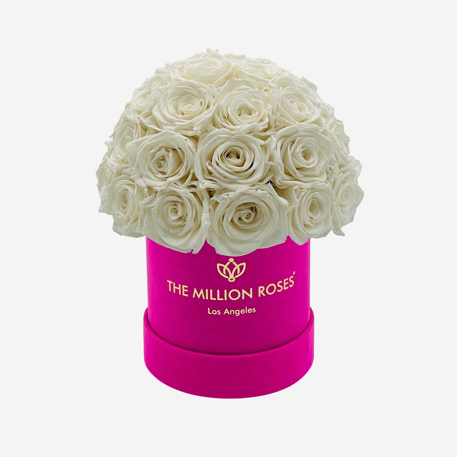 Basic Hot Pink Suede Superdome Box | White Roses - The Million Roses
